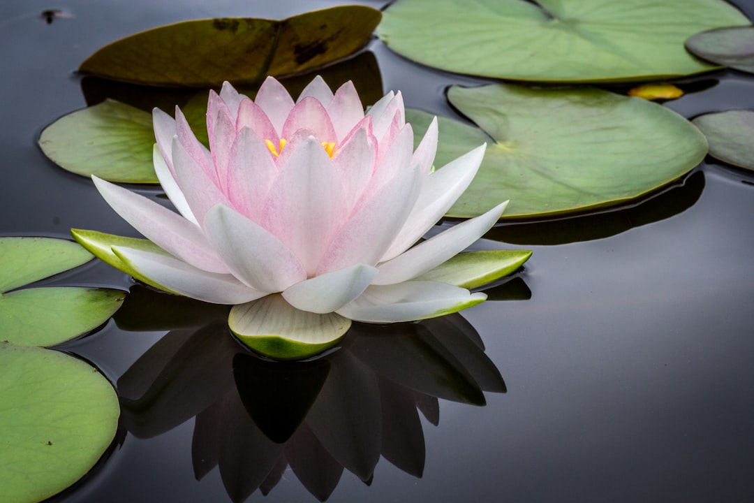 Photo Spirituality: Reflections