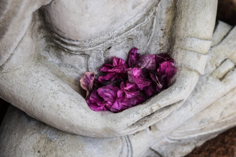 Photo Meditation retreat