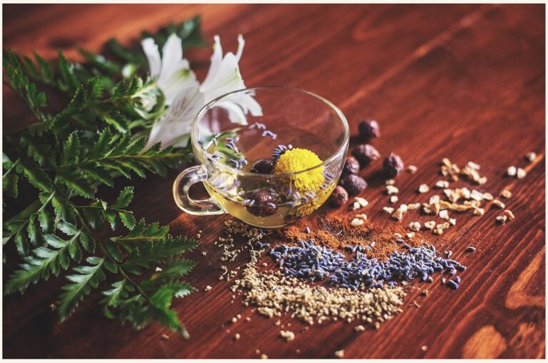 Magia ziół leczniczych: naturalne lekarstwa 1 Photo Herbal tea