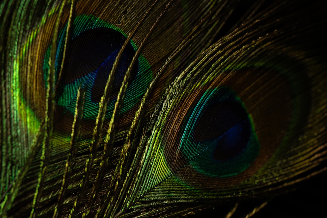 Photo Tarot wizjonerski interpretacje